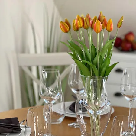 Apartment Friesenhaus 'inselherz'